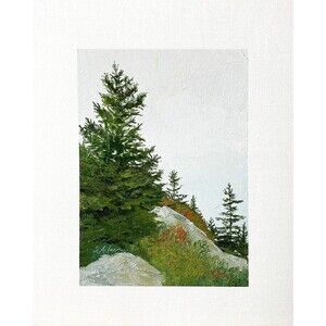 8x10 Maine Original Oil Painting Acadia Landscape Cadillac Mountain Pines Signed